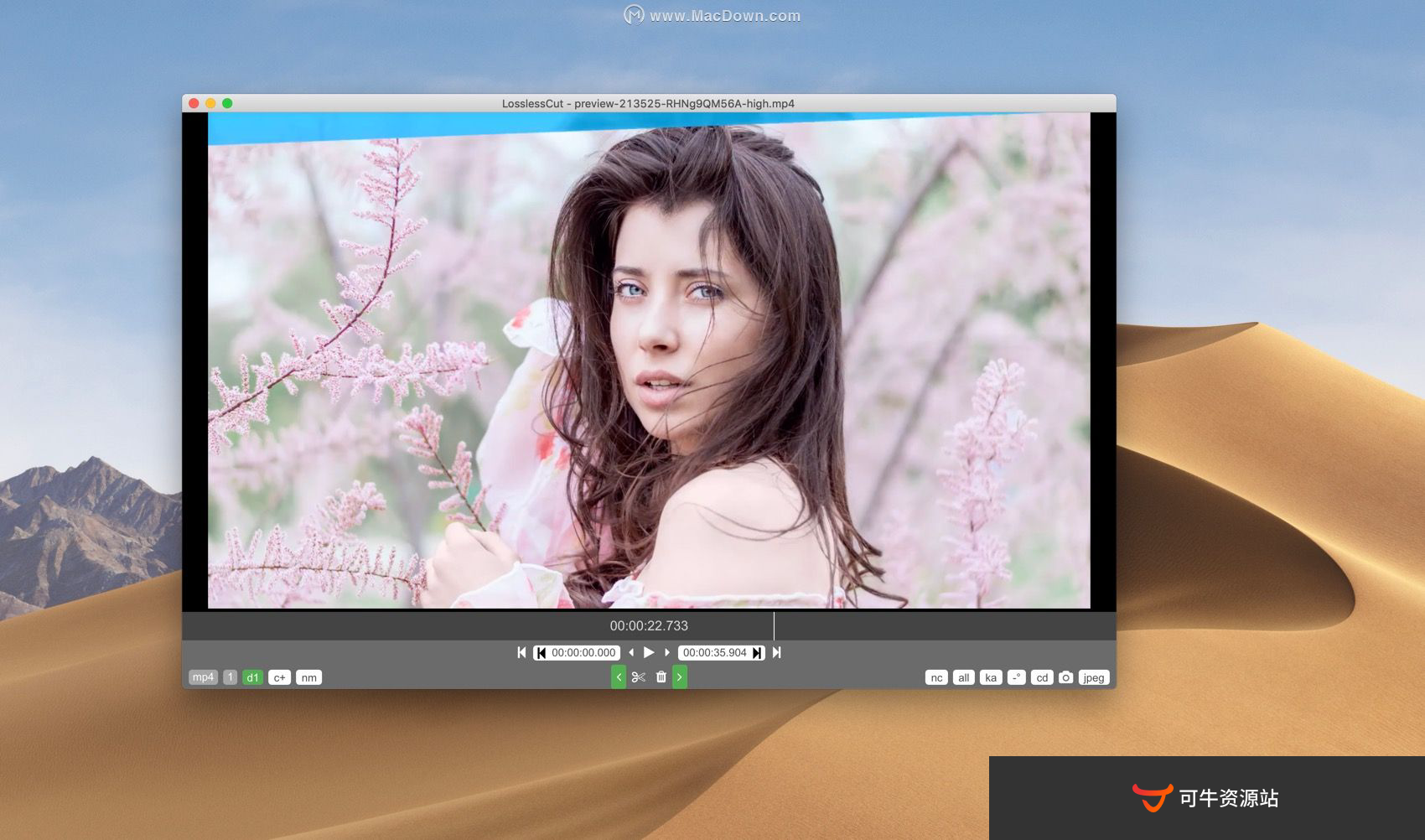 instal the last version for mac LosslessCut 3.56